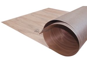 MULABILE / FLEXIBLE NUC
